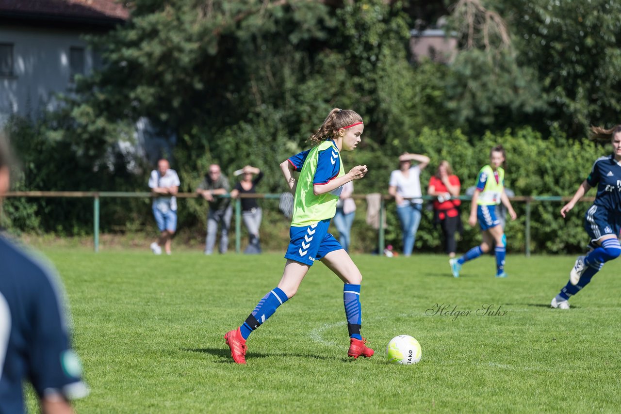 Bild 88 - B-Juniorinnen VfL Pinneberg - HSV : Ergebnis: 1:4